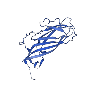 8969_6e2r_AS_v1-3
Mechanism of cellular recognition by PCV2