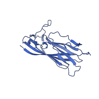 8969_6e2r_AT_v1-3
Mechanism of cellular recognition by PCV2