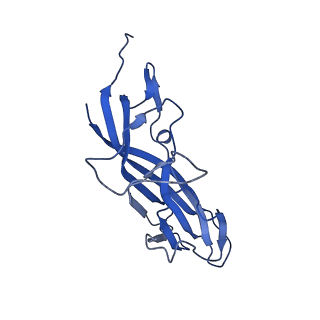 8969_6e2r_AU_v1-3
Mechanism of cellular recognition by PCV2