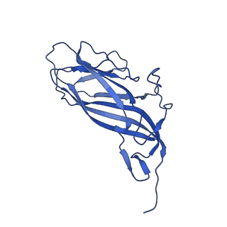 8969_6e2r_AX_v1-3
Mechanism of cellular recognition by PCV2