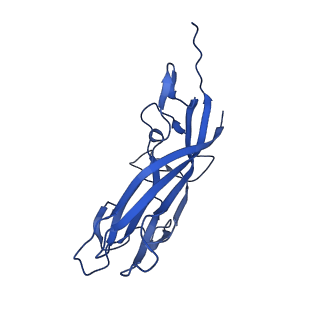 8969_6e2r_AZ_v1-3
Mechanism of cellular recognition by PCV2