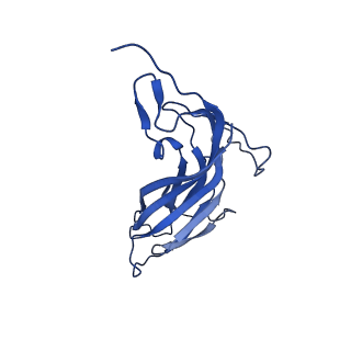 8969_6e2r_Ab_v1-3
Mechanism of cellular recognition by PCV2