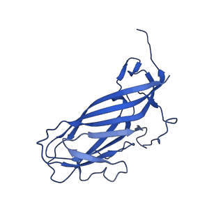 8969_6e2r_Ac_v1-3
Mechanism of cellular recognition by PCV2