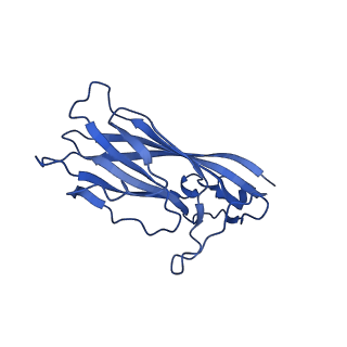 8969_6e2r_Ad_v1-2
Mechanism of cellular recognition by PCV2