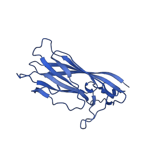 8969_6e2r_Ad_v1-3
Mechanism of cellular recognition by PCV2