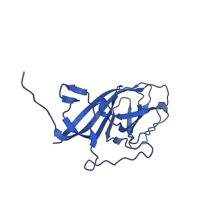 8969_6e2r_Ag_v1-3
Mechanism of cellular recognition by PCV2