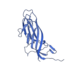 8969_6e2r_Ai_v1-2
Mechanism of cellular recognition by PCV2