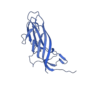 8969_6e2r_Ai_v1-3
Mechanism of cellular recognition by PCV2