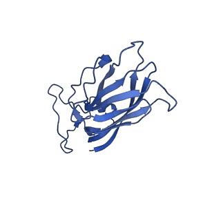 8969_6e2r_Aj_v1-3
Mechanism of cellular recognition by PCV2