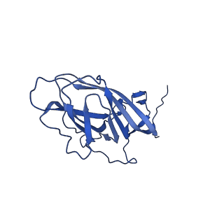 8969_6e2r_Al_v1-3
Mechanism of cellular recognition by PCV2