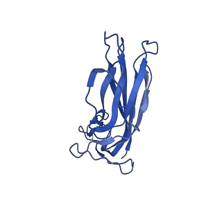 8969_6e2r_Am_v1-3
Mechanism of cellular recognition by PCV2