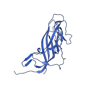 8969_6e2r_An_v1-2
Mechanism of cellular recognition by PCV2