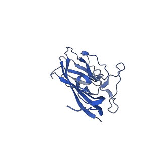 8969_6e2r_Ao_v1-3
Mechanism of cellular recognition by PCV2