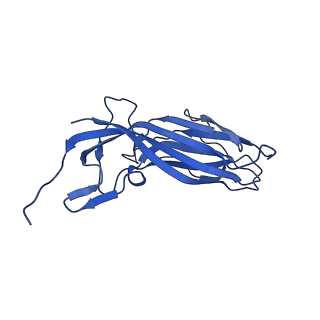 8969_6e2r_Ap_v1-3
Mechanism of cellular recognition by PCV2