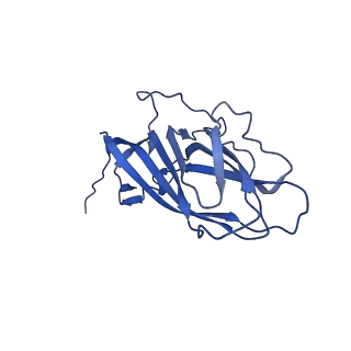 8969_6e2r_Aq_v1-3
Mechanism of cellular recognition by PCV2