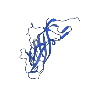 8969_6e2r_As_v1-2
Mechanism of cellular recognition by PCV2