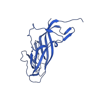 8969_6e2r_As_v1-3
Mechanism of cellular recognition by PCV2