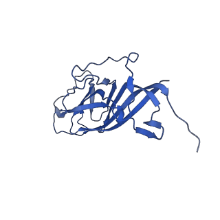 8969_6e2r_Av_v1-3
Mechanism of cellular recognition by PCV2