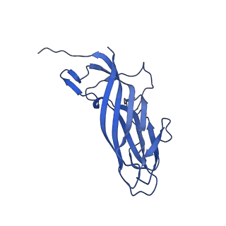 8969_6e2r_Ax_v1-2
Mechanism of cellular recognition by PCV2