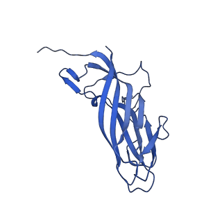 8969_6e2r_Ax_v1-3
Mechanism of cellular recognition by PCV2