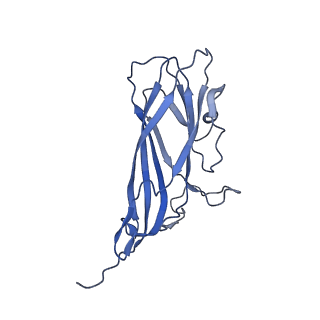 8970_6e2x_A1_v2-1
Mechanism of cellular recognition by PCV2