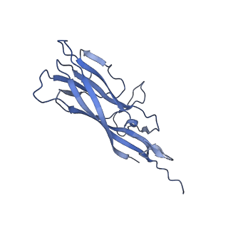 8970_6e2x_A2_v2-0
Mechanism of cellular recognition by PCV2