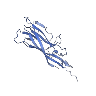 8970_6e2x_A2_v2-1
Mechanism of cellular recognition by PCV2