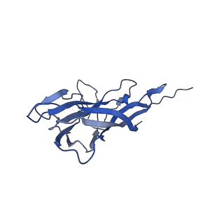 8970_6e2x_A3_v1-2
Mechanism of cellular recognition by PCV2