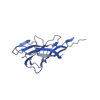 8970_6e2x_A3_v2-1
Mechanism of cellular recognition by PCV2