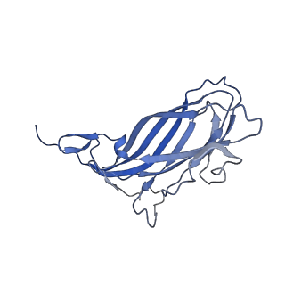 8970_6e2x_A5_v2-1
Mechanism of cellular recognition by PCV2