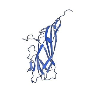 8970_6e2x_A6_v2-1
Mechanism of cellular recognition by PCV2