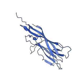 8970_6e2x_A7_v2-1
Mechanism of cellular recognition by PCV2