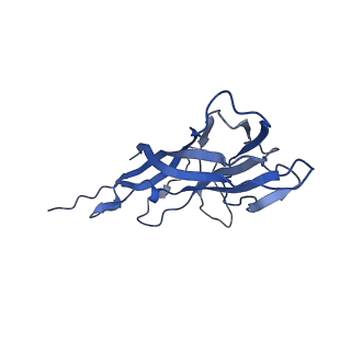 8970_6e2x_A8_v2-1
Mechanism of cellular recognition by PCV2