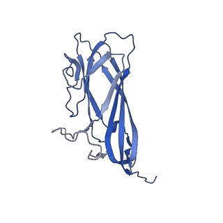 8970_6e2x_AB_v1-2
Mechanism of cellular recognition by PCV2