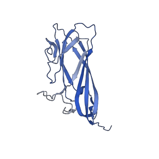 8970_6e2x_AB_v2-1
Mechanism of cellular recognition by PCV2