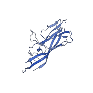 8970_6e2x_AC_v1-2
Mechanism of cellular recognition by PCV2