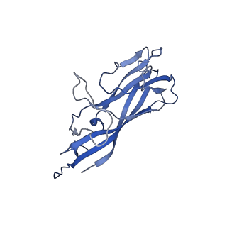8970_6e2x_AC_v2-0
Mechanism of cellular recognition by PCV2