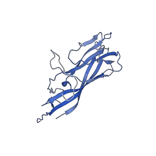 8970_6e2x_AC_v2-1
Mechanism of cellular recognition by PCV2