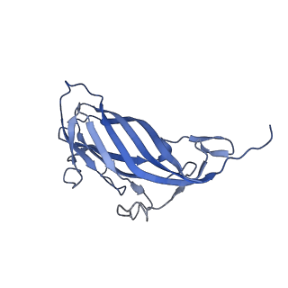 8970_6e2x_AF_v2-1
Mechanism of cellular recognition by PCV2