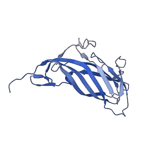 8970_6e2x_AK_v2-1
Mechanism of cellular recognition by PCV2