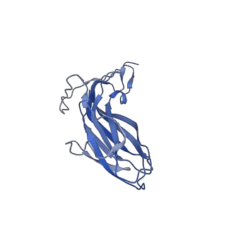 8970_6e2x_AM_v2-1
Mechanism of cellular recognition by PCV2