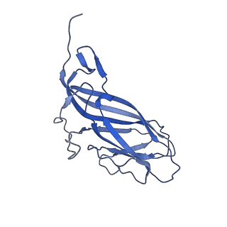 8970_6e2x_AN_v2-1
Mechanism of cellular recognition by PCV2