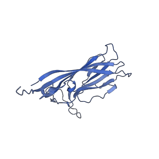 8970_6e2x_AO_v2-1
Mechanism of cellular recognition by PCV2