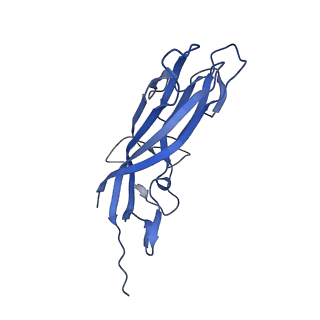 8970_6e2x_AP_v2-1
Mechanism of cellular recognition by PCV2