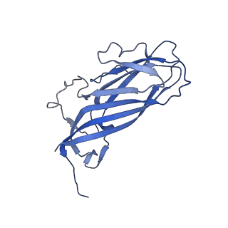 8970_6e2x_AS_v2-1
Mechanism of cellular recognition by PCV2