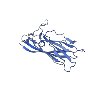 8970_6e2x_AT_v2-1
Mechanism of cellular recognition by PCV2