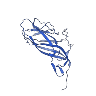 8970_6e2x_AX_v2-1
Mechanism of cellular recognition by PCV2