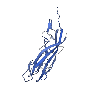 8970_6e2x_AZ_v2-1
Mechanism of cellular recognition by PCV2