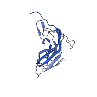 8970_6e2x_Ab_v2-1
Mechanism of cellular recognition by PCV2