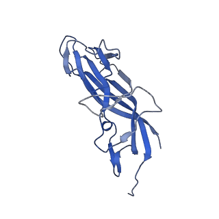 8970_6e2x_Ae_v1-2
Mechanism of cellular recognition by PCV2